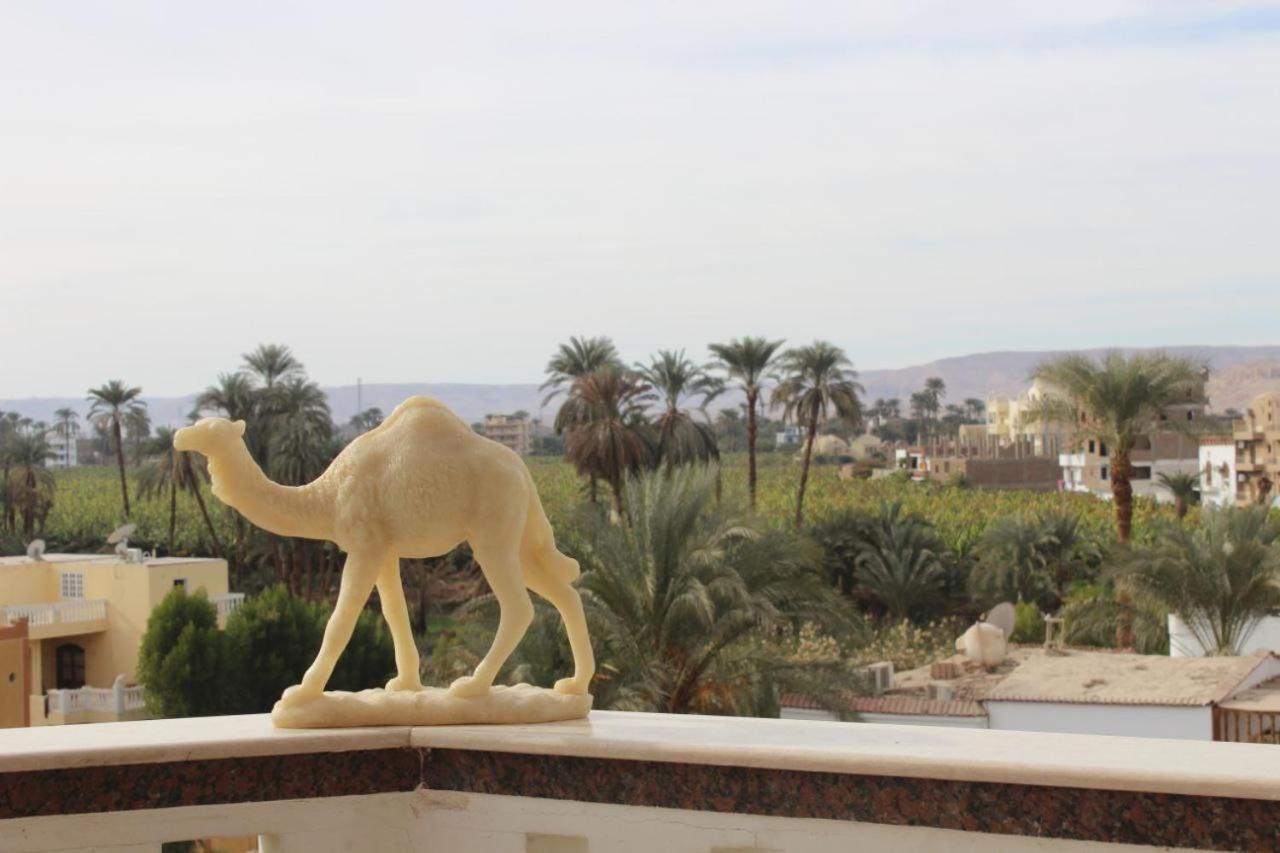 Morning Star Apartment Luxor Ngoại thất bức ảnh
